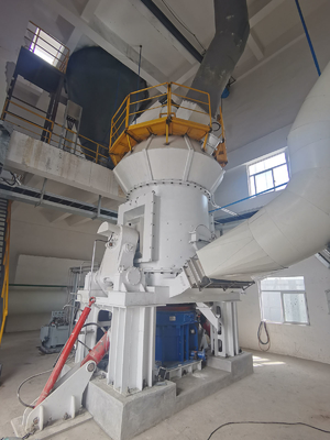 OEM Verticaal Malend de Molenmateriaal van de Rolsteenkool voor Petcoke-het Malen
