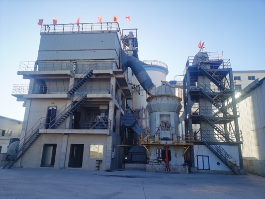 325 Mesh Calcium Carbonate Vertical Raw Molenenergie - besparingsconsumptie het Verminderen